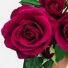 glamour_rose